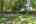 Blurred preview of media: 02_Ipixx_9