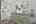 Blurred preview of media: 76-shades-of-death-road-great-meadows-n-j-house-031