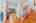 Blurred preview of media: 24 Rocky Dundee Road Bolton Massachusetts Job 40312 0002