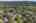 Blurred preview of media: Aerial 08