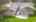 Blurred preview of media: DJI_0314