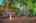 Blurred preview of media: 35