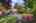 Blurred preview of media: 1-39
