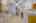 Blurred preview of media: 09