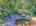 Blurred preview of media: 9zzzf
