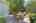 Blurred preview of media: _RKJ4277