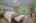 Blurred preview of media: 33 Staged v2