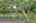 Blurred preview of media: IMG_0982_3_4_easyHDR