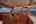 Blurred preview of media: Novia II 2026-39