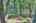 Blurred preview of media: IMG_4718_19_20_easyHDR