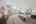 Blurred preview of media: DSC09320