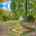 Blurred preview of media: 1-926-7947