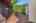 Blurred preview of media: Nerine_014