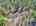 Blurred preview of media: DJI_20260408121612_0466_D_3_0467_D_3_0468_D_easyHDR