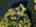 Blurred preview of media: DJI_0329-HDR