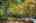 Blurred preview of media: 1-4