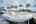 Blurred preview of media: Dorothy Gayle-37