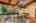 Blurred preview of media: 1-13