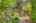 Blurred preview of media: 260204-26a