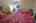 Blurred preview of media: IMG_4526_7_8