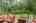 Blurred preview of media: 67 Quaker Lane Bolton Massachusetts Job 39838 0018