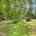 Blurred preview of media: 1-926-7967