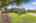 Blurred preview of media: Fescue EXT -6