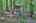 Blurred preview of media: 9za