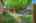 Blurred preview of media: 33