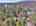 Blurred preview of media: DJI_20260408121557_0460_D_1_D_2_D_easyHDR