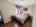 Blurred preview of media: 2217b51d-7a7d-400b-9ef0-36d2eb9b1b17