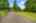 Blurred preview of media: 4