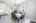 Blurred preview of media: 21
