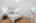 Blurred preview of media: bar_harbor_063