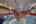 Blurred preview of media: Quality Time-6