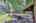Blurred preview of media: IMG_2125_6_7_easyHDR