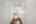 Blurred preview of media: DSC01164