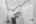 Blurred preview of media: DSC07745