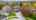 Blurred preview of media: 11