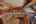 Blurred preview of media: Knot RO Ky Home-22