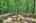 Blurred preview of media: IMG_0574_5_6_easyHDR