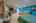 Blurred preview of media: IMG_8906_7_8