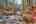 Blurred preview of media: IMG_0656_7_8_easyHDR