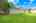 Blurred preview of media: 1-726-2336