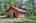 Blurred preview of media: IMG_2134_5_6_easyHDR