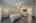 Blurred preview of media: Image-38