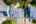 Blurred preview of media: 1-16