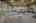 Blurred preview of media: IMG_8876_7_8