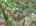 Blurred preview of media: DJI_20260702124902_0597_D_8_D_9_D_easyHDR