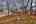 Blurred preview of media: IMG_8287_8_9_easyHDR